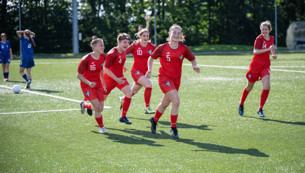 也至关重要 也至关重要